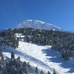 IMG_0171
