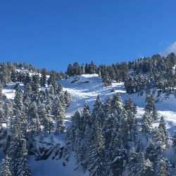 IMG_0172