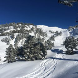 IMG_0179