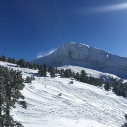 IMG_0180