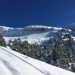 IMG_0189