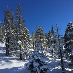 IMG_0206