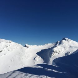 IMG_0221