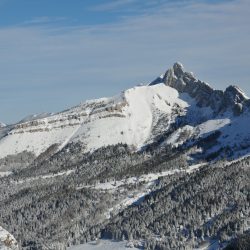 Villard 3